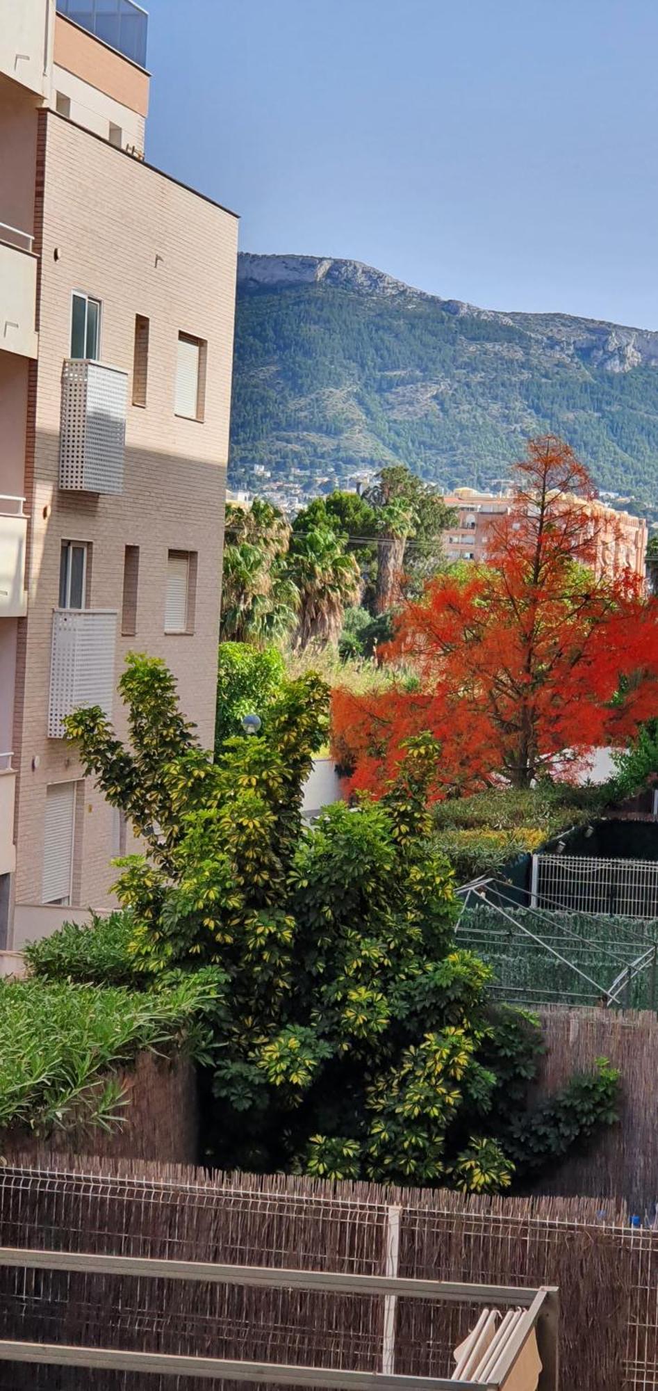 A Lovely Swimming Pool, Parking, Padel Apartamento *